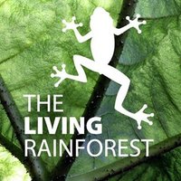 Living Rainforest (@livrainforest) 's Twitter Profile Photo Living Rainforest (@livrainforest) 's Twitter Profile Photo