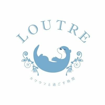 京都初♡カワウソと過ごせる場所 LOUTRE(ルートル) 元々オーナーに飼われていたカワウソ達がお出迎え。水族館のカワウソとはまた違った「おうちカワウソ」にぜひ癒されてください。 Instagram@ルートル京都店 ♡大阪店もOPENしました！！ ※個別返信は一切致しませんので予めご了承ください。