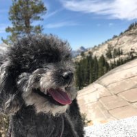 Jason Sanjana (@jsanjana) 's Twitter Profile