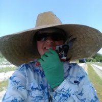 Garden Maiden 🌻🌳🍇🫐 🐗👩🌾👩🔬📷🐞🎃🍺🍹🐕🐾 (@thegardenmaiden) 's Twitter Profile Photo Garden Maiden 🌻🌳🍇🫐 🐗👩🌾👩🔬📷🐞🎃🍺🍹🐕🐾 (@thegardenmaiden) 's Twitter Profile Photo
