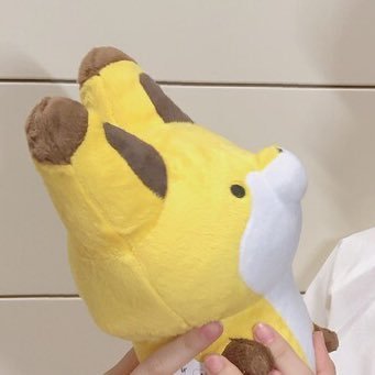 sigu_qucnd's profile picture. 仕事辞めるました.　WEBアプリケーションのお仕事かアプリ開発のお仕事の紹介待ってます。 最近のお仕事ではDjangoを使うことが多いです