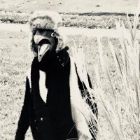 BonePoolRadio (@bonepoolradio) 's Twitter Profile