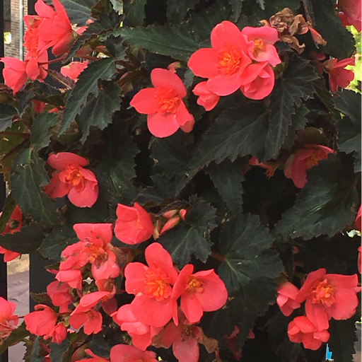 VenvdEllen's profile picture. 