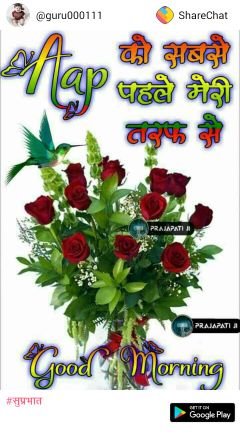 SanatanMaity15's profile picture. Business & CEOs