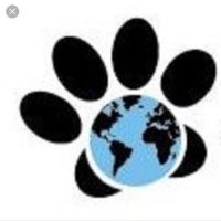 World of Animals Elkins Park(@WorldofAnimal4) 's Twitter Profile Photo