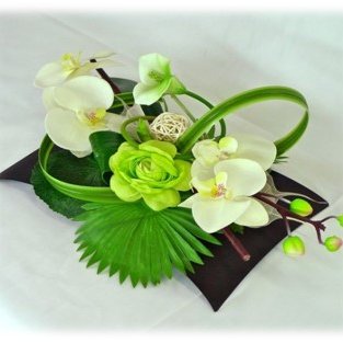 Decoración con plantas artificiales y naturales
Servicios de Jardinería en Galicia, España
Alquiler de plantas para eventos
📱34 664430638