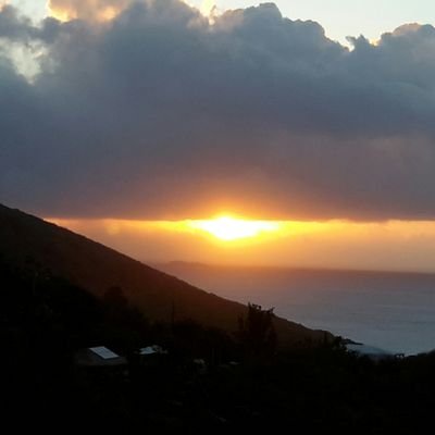 StThomasLarry11's profile picture. one day like a miracle,  tRump will disappear