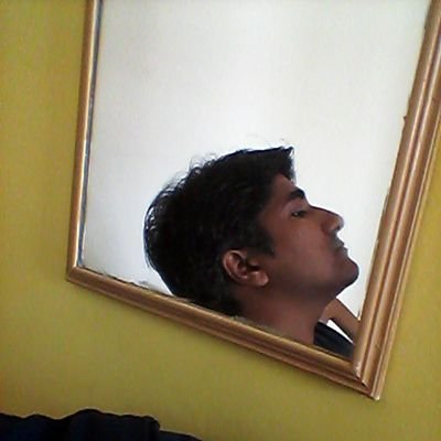 tweeet_bug's profile picture. 