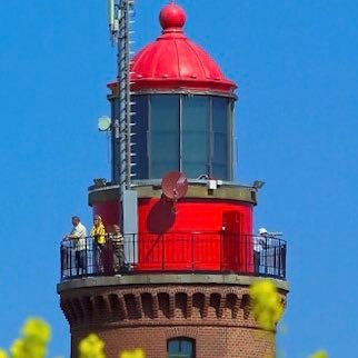 MarcDammann's profile picture. 