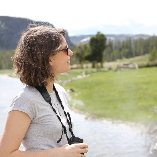 AnnaMBulman's profile picture. Co-Creator @picturerights
Fellow @CCSI_Columbia
#land #investment #humanrights #foodsystems #illustration
she/hers