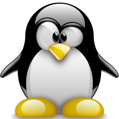 Linux System Administrator & Serial Entrepreneur. LAMP Stack Application Fan. Digital Strategist. Technical SEO Expert, Devuan GNU/Linux Advocate.