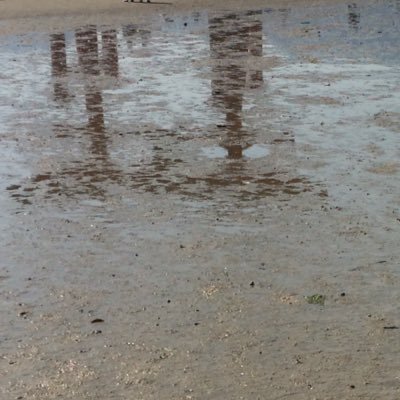 mattyaore2's profile picture. らい