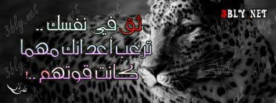 NdtdX9TQu32AsvH's profile picture. استماع ومشاهده
