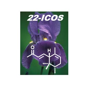 22ICOS Profile