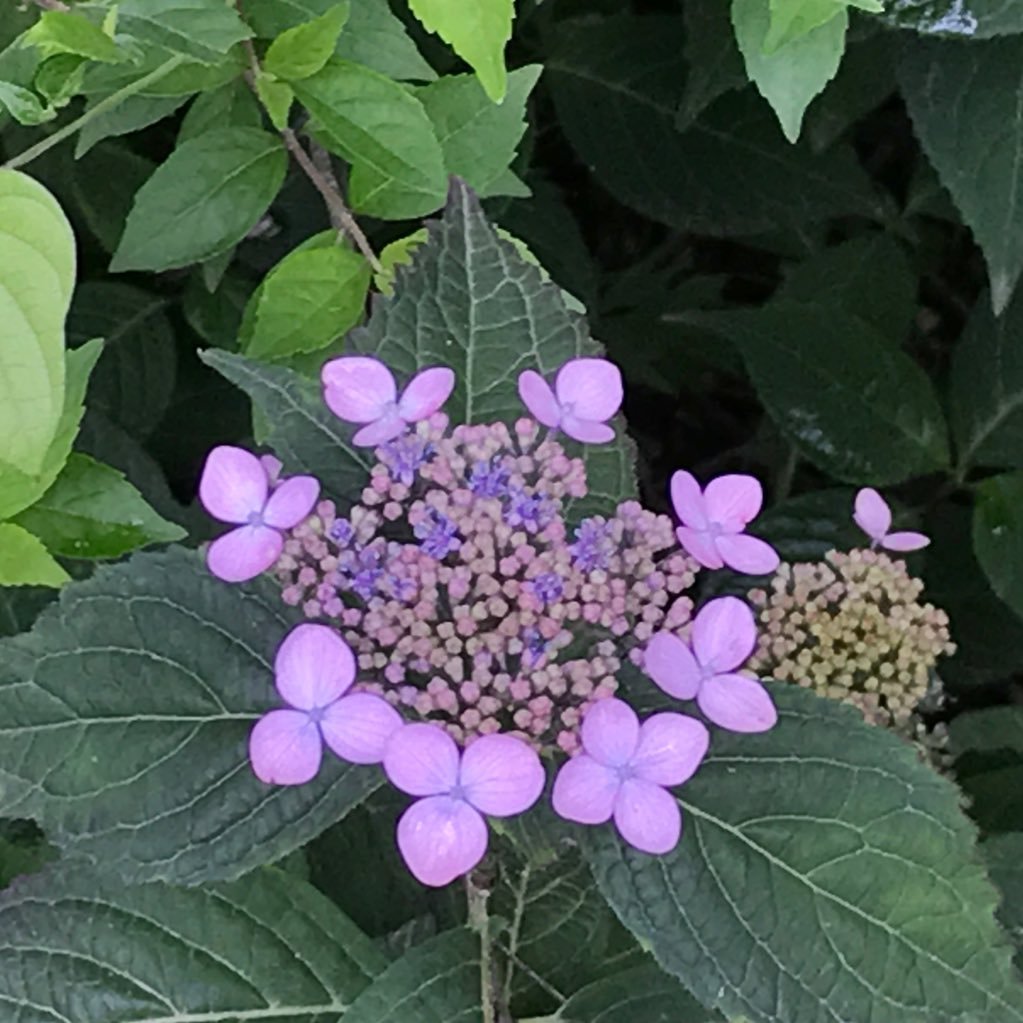 charmingbear66's profile picture. Smile