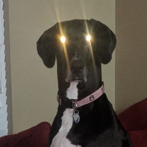 cameronconn's profile picture. Security researcher & breaker of things.