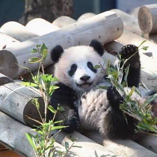 泡嬢 入浴中 Wvqpv3thxjxgnkh Twitter