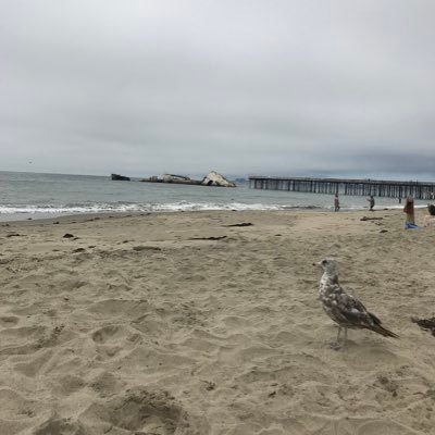 @angelaroche19