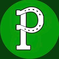 Portage Mustang Cheerleaders (@pastangcheer) Twitter profile photo