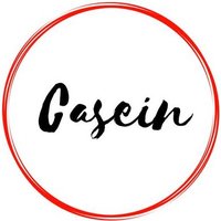 casein(@CaseinMusic) 's Twitter Profileg