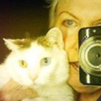 Linda Collard - @LindaCollard4 Twitter Profile Photo