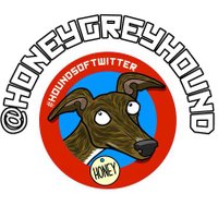 Honey Greyhound 💖 🌈(@HoneyGreyhound) 's Twitter Profile Photo