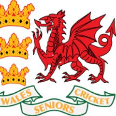 Wales over 60's cricket has never been so strong. We have 2 teams. The 1st team is captained by Ryland Wallace and our 2nd team is captained by Gordon Voke.