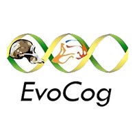 EvoCog @evocog.bsky.social (@evocog) 's Twitter Profile Photo EvoCog @evocog.bsky.social (@evocog) 's Twitter Profile Photo
