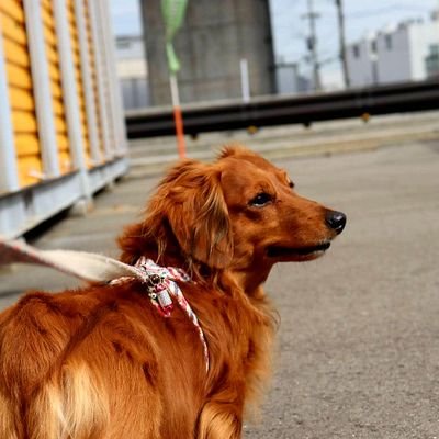 ミラマウ🫠小魚虐待おじさんさんのプロフィール画像
