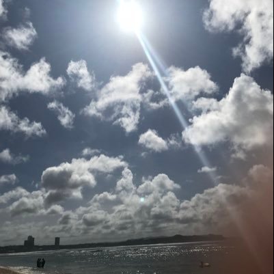 halsamusic's profile picture. 