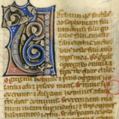 Les Enluminures are on loan to UAlbany through a federally funded program called Manuscripts in the Curriculum. Follow our summer 2018 manuscript events!
