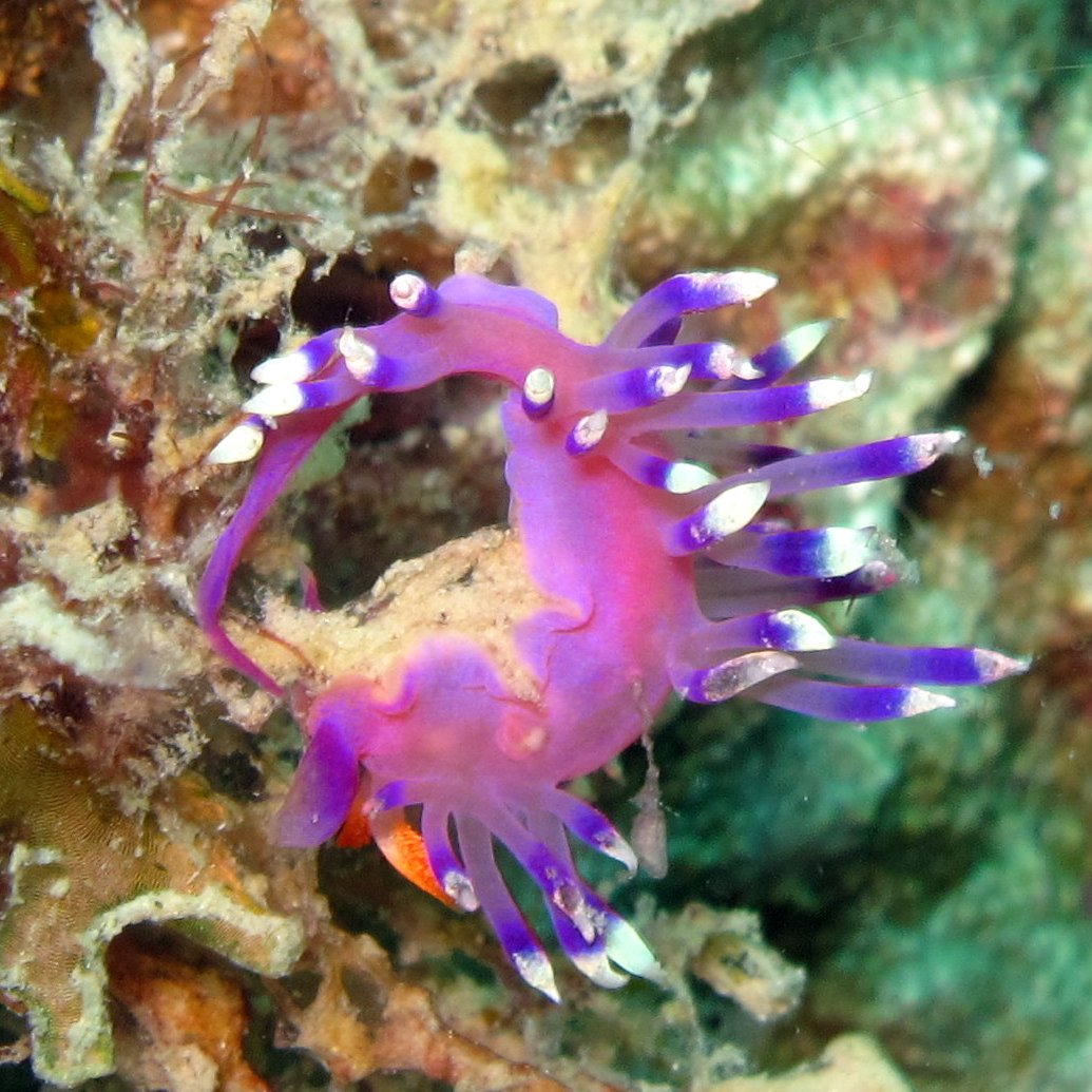 L00n22's profile picture. 