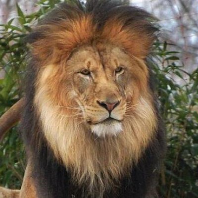 xxkrskxx's profile picture. 
