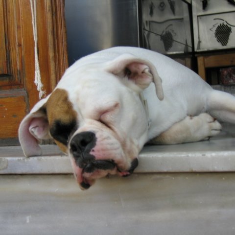 sethvoice's profile picture. 