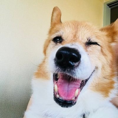 RinRin_eichen's profile picture. 