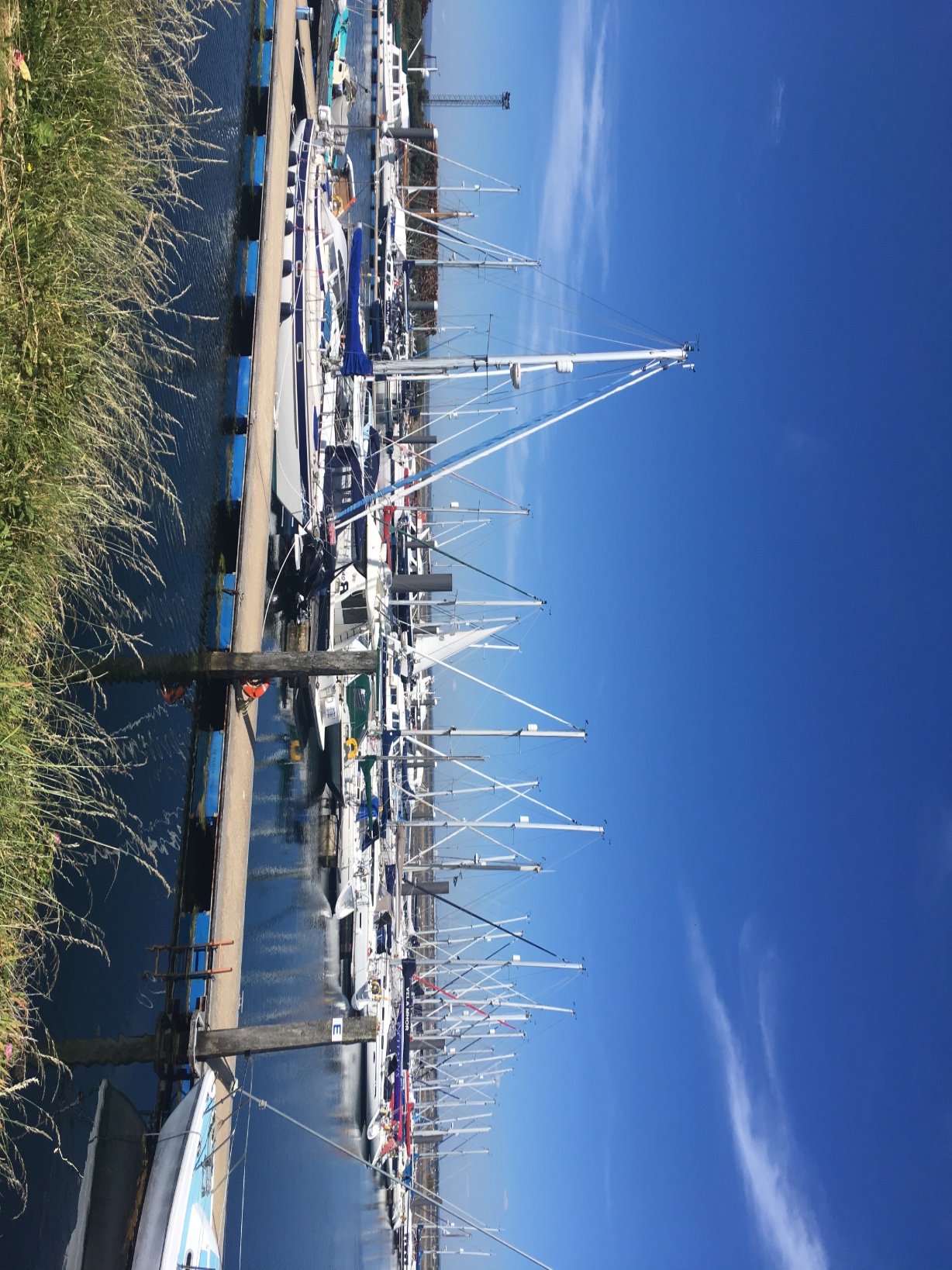 j88888888888882's profile picture. 