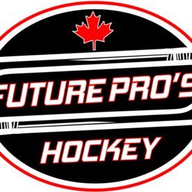 Staff includes Jr. A coaches, mentoring and skill development. Spring and Summer hockey events to recruit and help promote players.