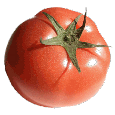 川合トマト Kawai Tomato Twitter