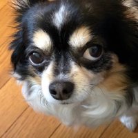 あちょ (@1nsqdhldlobpwcc) 's Twitter Profile