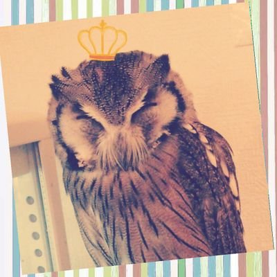みそかさんのプロフィール画像