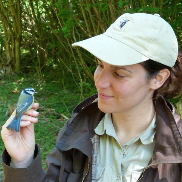 #MSCAction Postdoctoral Fellow @vogelwarte_ch @LbbeLyon
👩‍🎓Crazy about #evolution #cognition🧠 #behaviour  #birds🐦(but not only!) and  #fieldwork🌳🪺