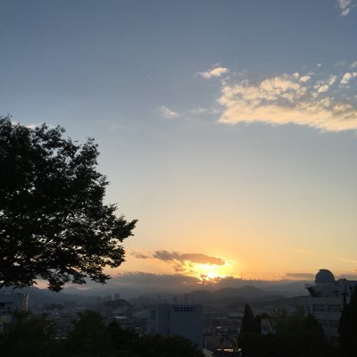 jaresu5's profile picture. オートチェスのChess Royaleを愛しています。日本人トップランカー。ミラティブやTwitchで日々配信してます😎