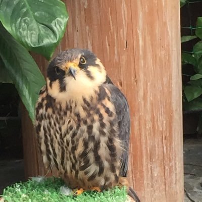 hito🌱さんのプロフィール画像