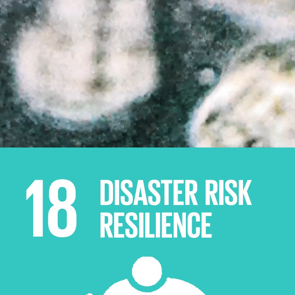 #SDGDRR #ResilienceforAll
Emergency Action opportunity to promote SDG 18 - DISASTER RISK RESILIENCE for global disaster security for #Humanitarian Response L&D