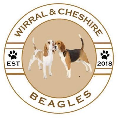 BeaglesWirral's profile picture. Weez like lots of chasing games with our beagle buddies, including scratch & sniff in the long grass 🐶 #adoptdontshop #BeagleBugClub 🐞#untileverycageisempty