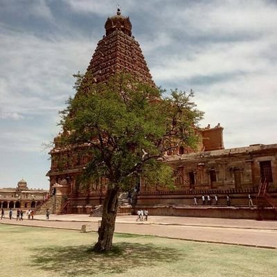 SathyaM61548893's profile picture. 