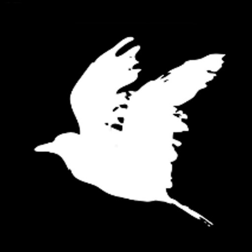 CrowbaitClub's profile picture. Monthly meeting of actors and playwrights at the infamous 10 minute play DeathMatch