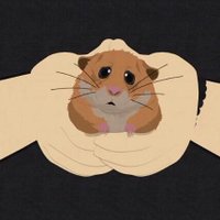 🍪Chitoso (@_chitoso_114) 's Twitter Profile