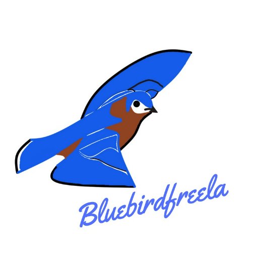 bluebirdfreela5's profile picture. Redacción de artículos y contenido web