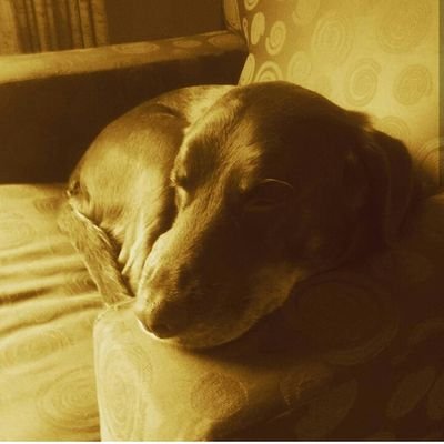 logancorlett's profile picture. 16/ its been a fat hour since ive been on